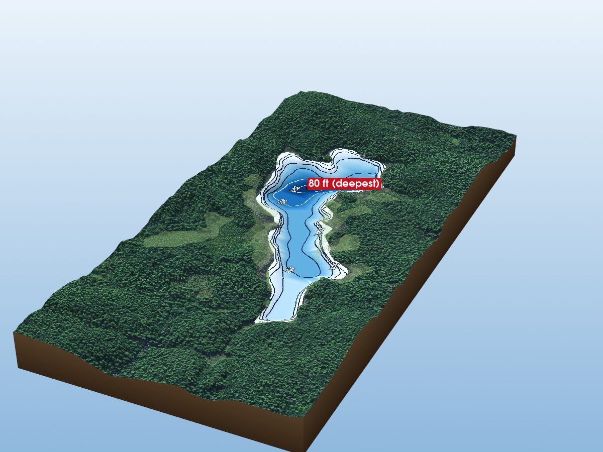 Depth map of Limestone Lake
