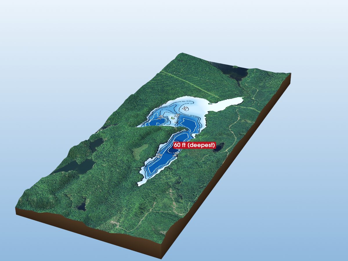 Depth map of Little Pickerel Lake