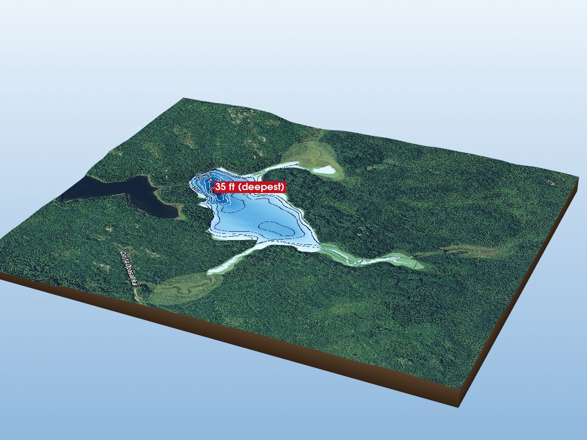 Depth map of Little Rice Lake