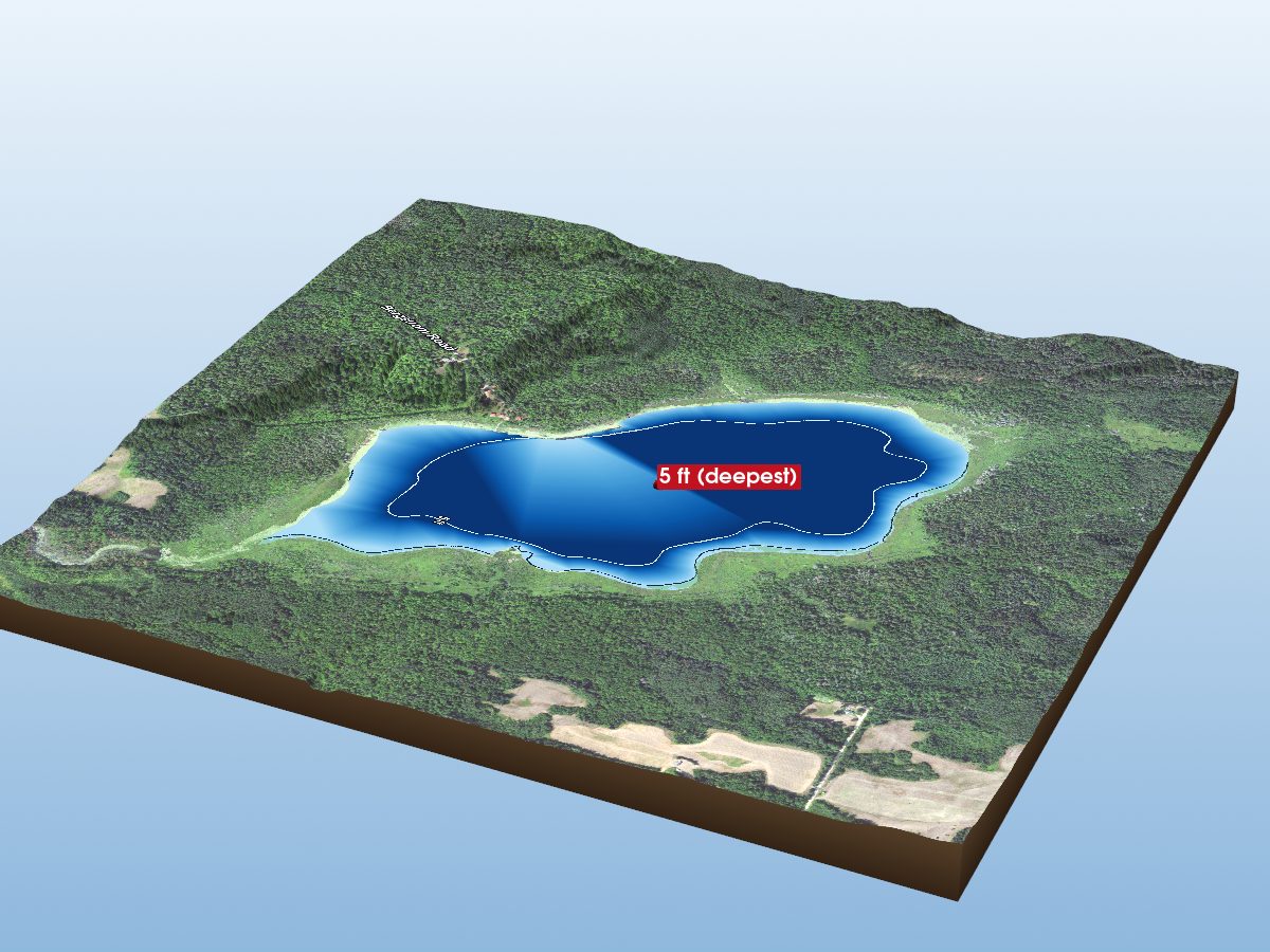 Depth map of Little Spring Lake