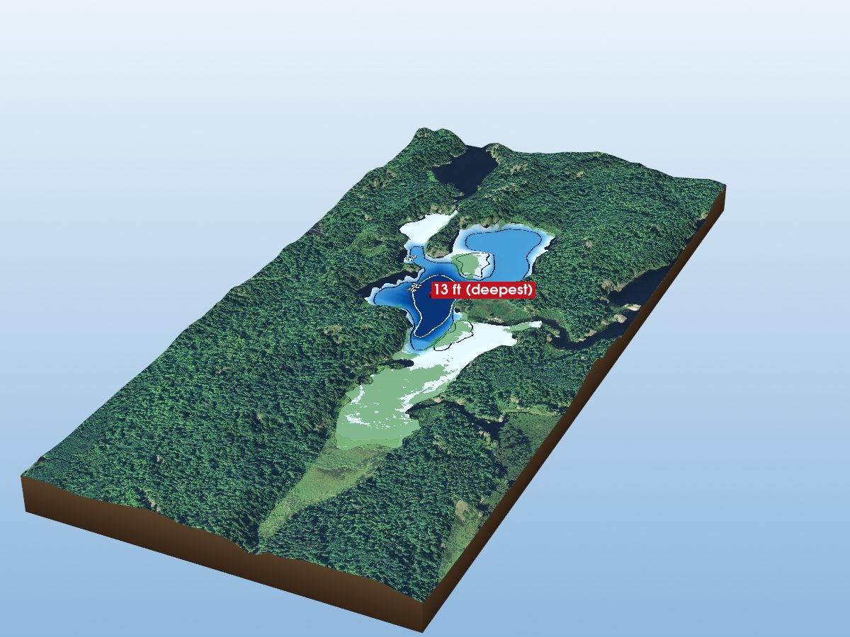 Depth map of Lizard Lake