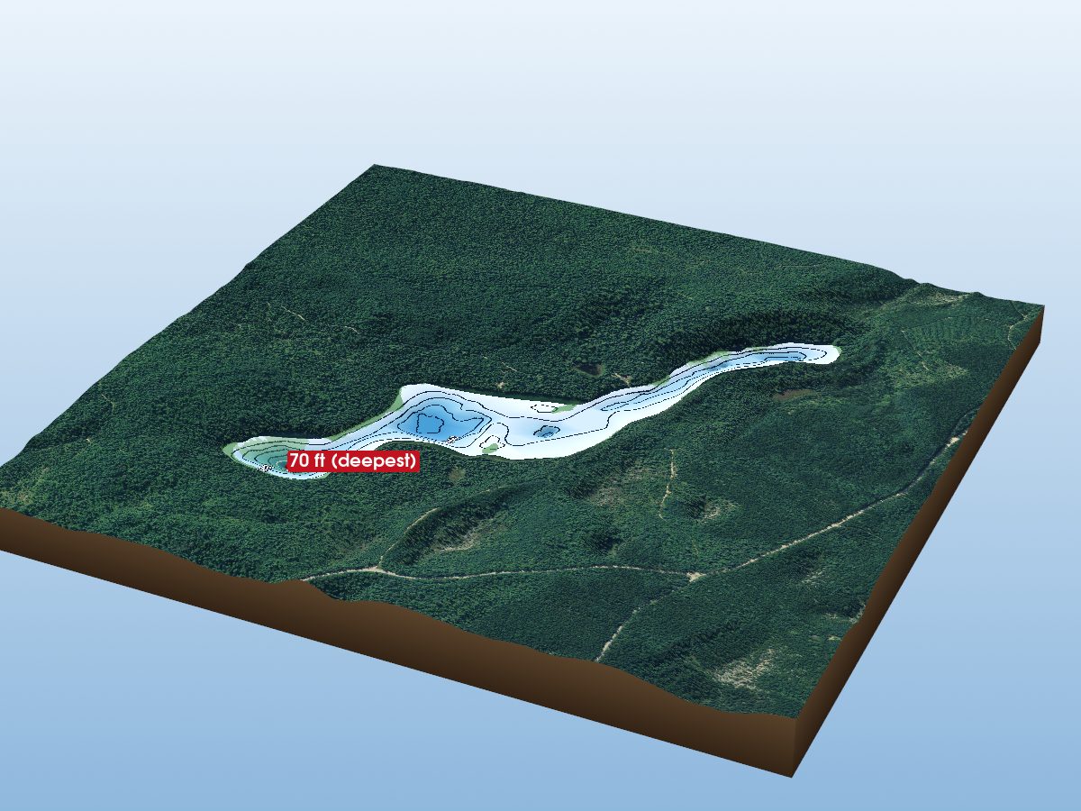 Depth map of Lizard Lake