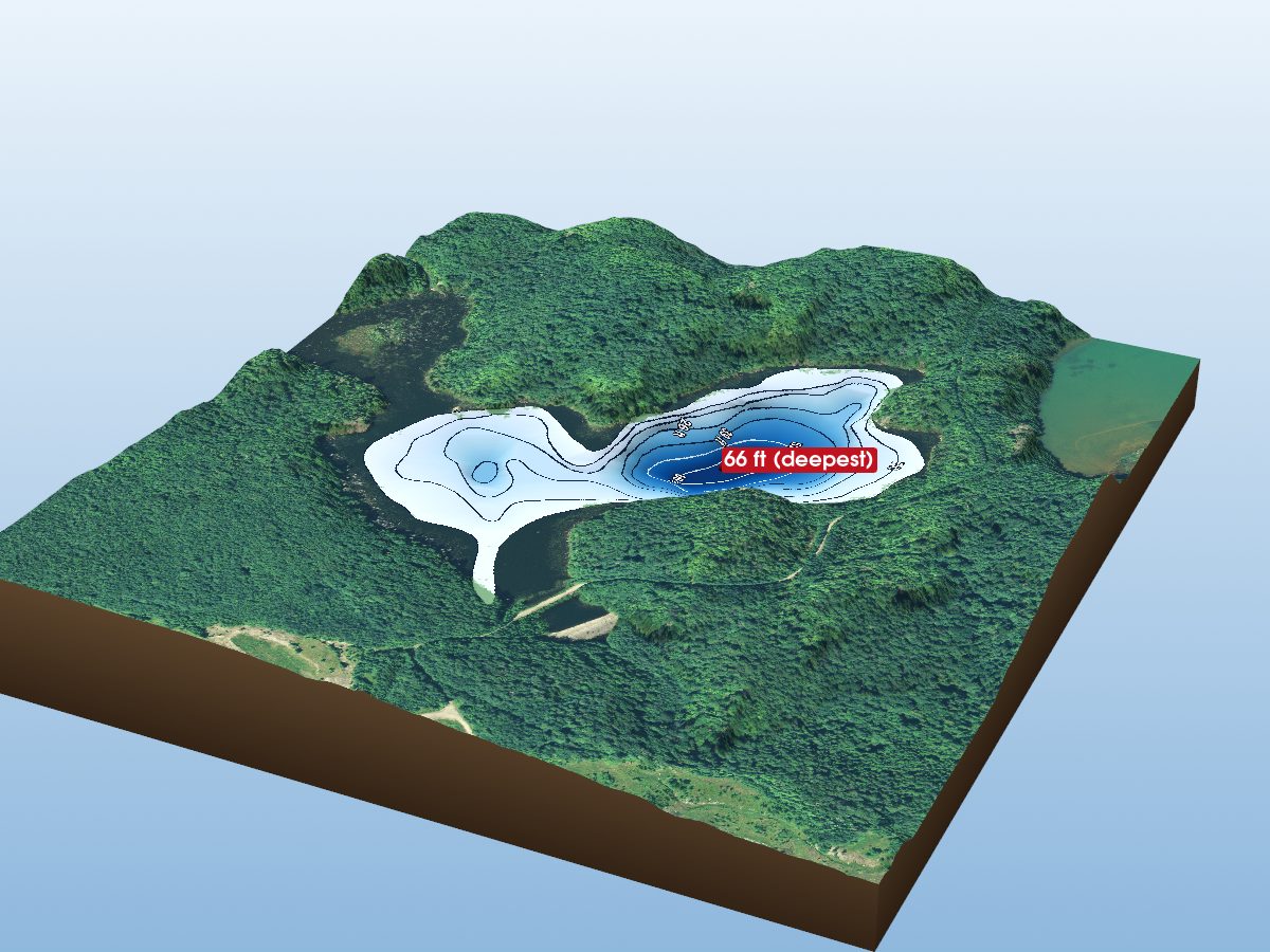 Depth map of Manydace L.