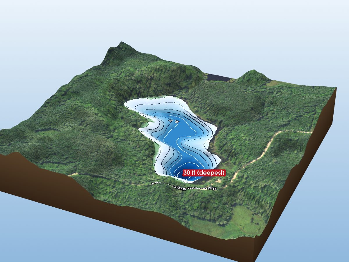 Depth map of McCarty Lake