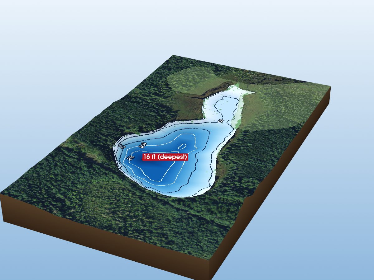 Depth map of Montrose Lake 37