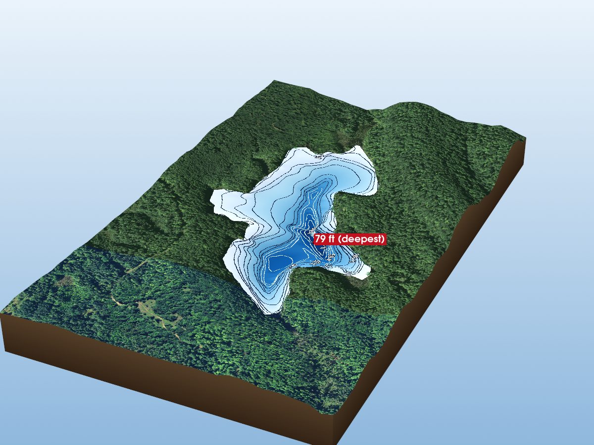 Depth map of Mountain Lake