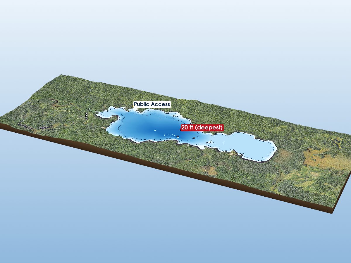Depth map of Ned Lake