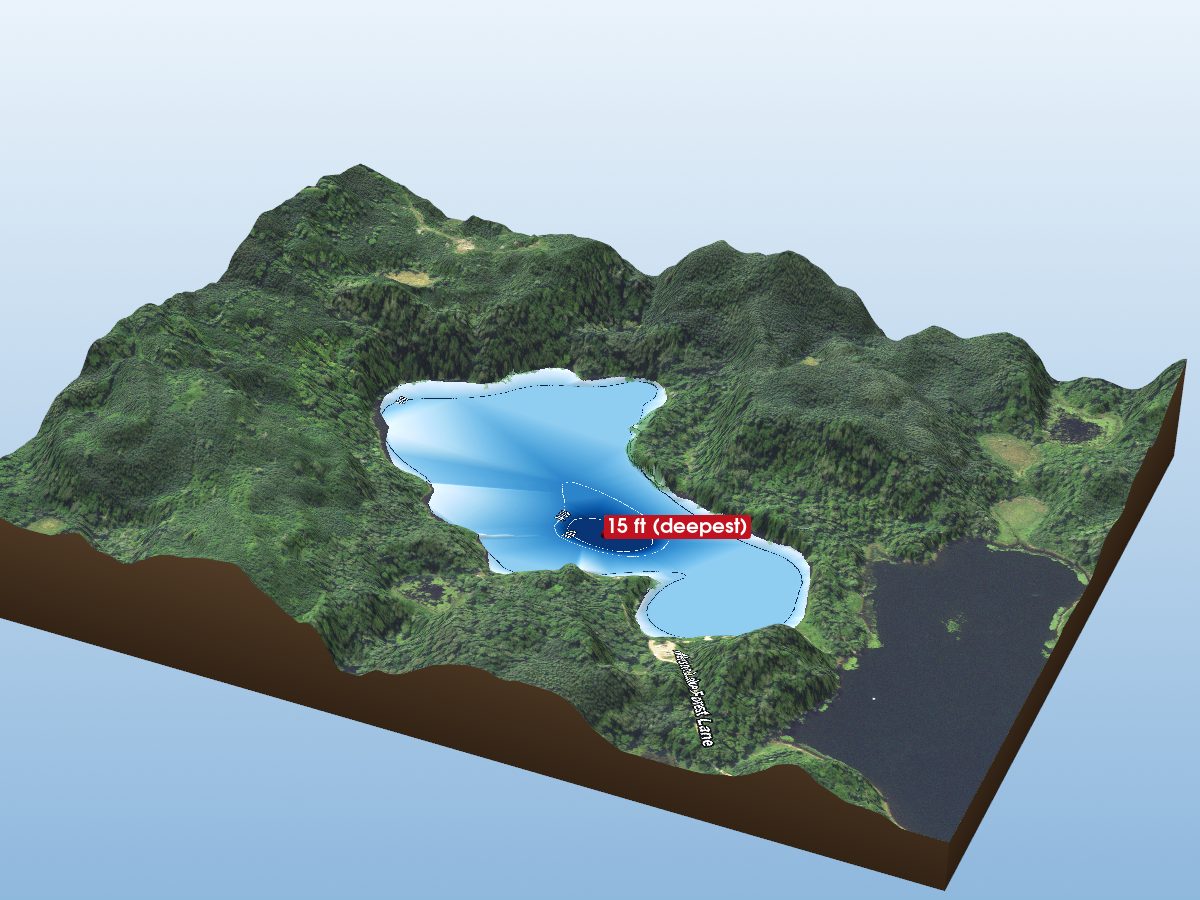 Depth map of Nelson Lake