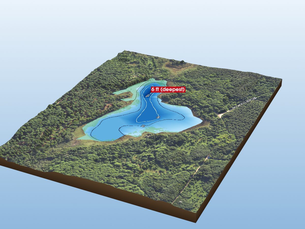 Depth map of Nelson Lake