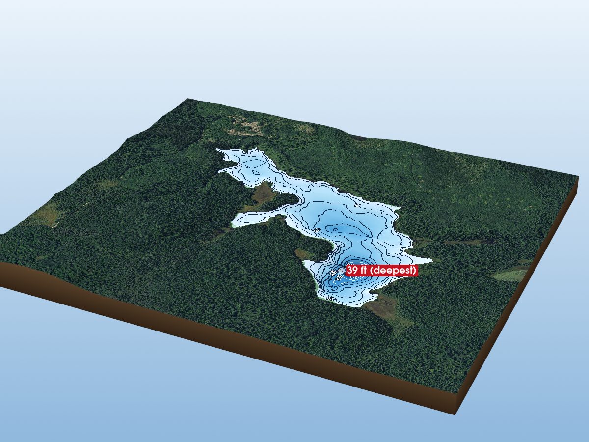 Depth map of Nelson Lake