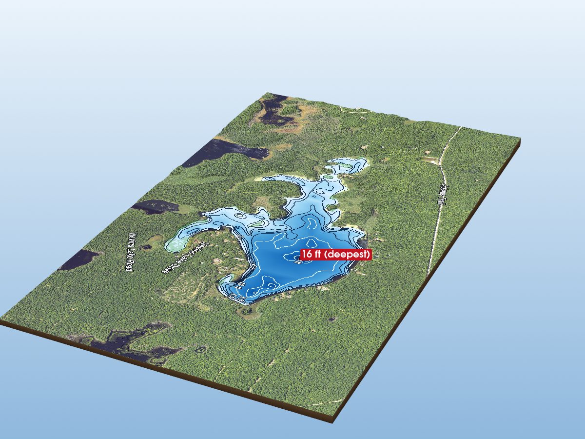 Depth map of Nevins Lake