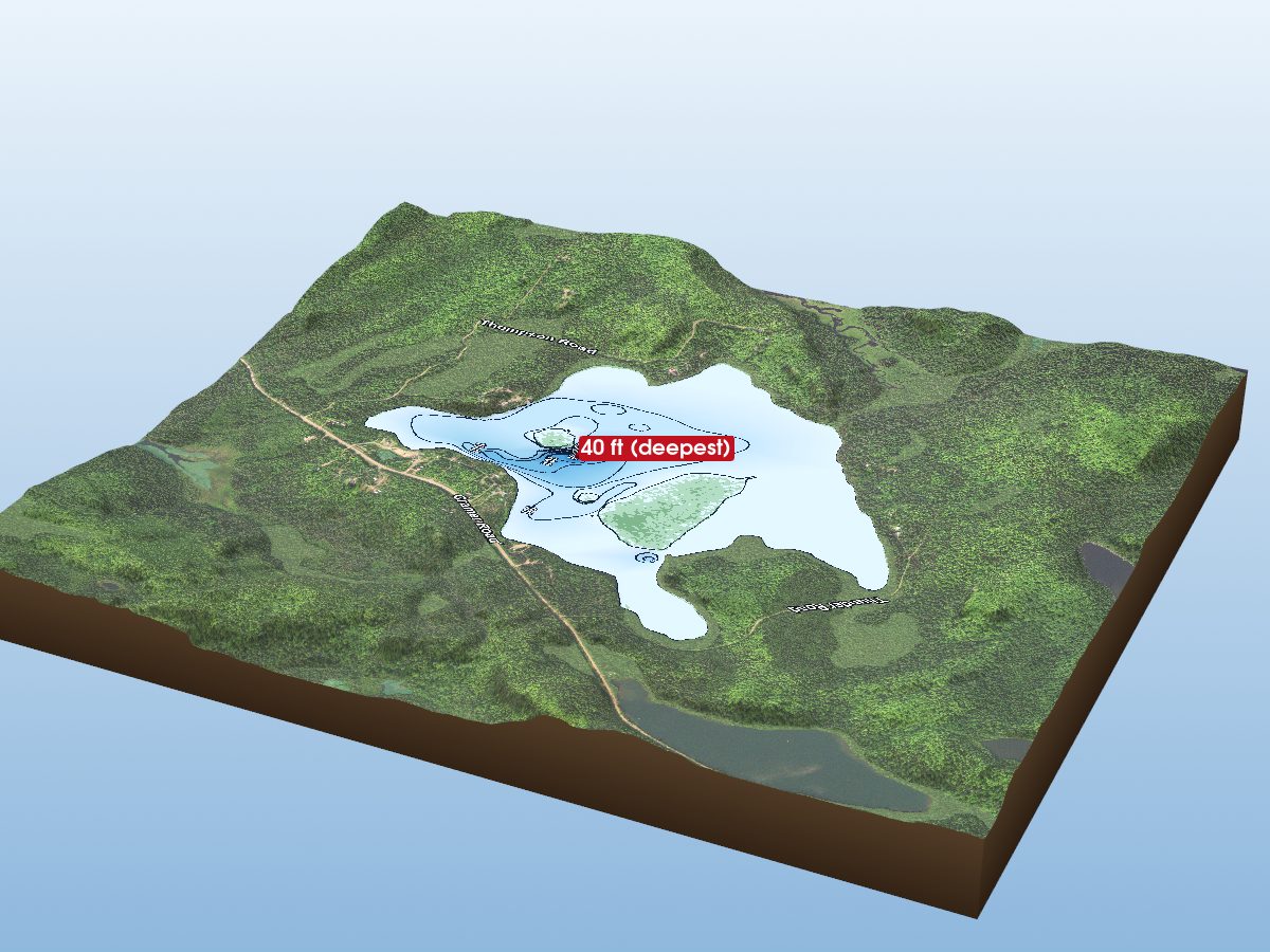 Depth map of Ninemile Lake