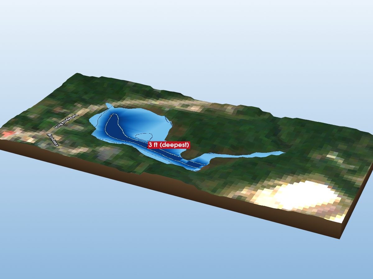 Depth map of Palgrave Pond