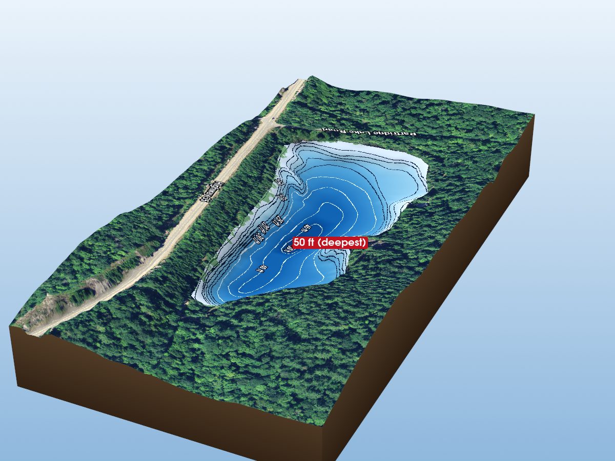 Depth map of Partridge Lake