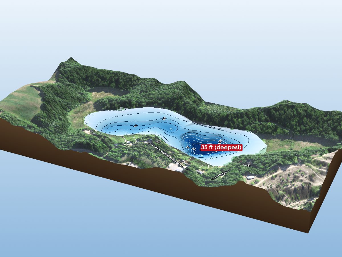 Depth map of Pickeral Lake