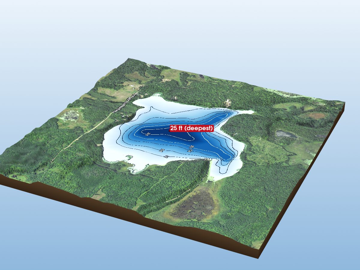 Depth map of Pine Lake