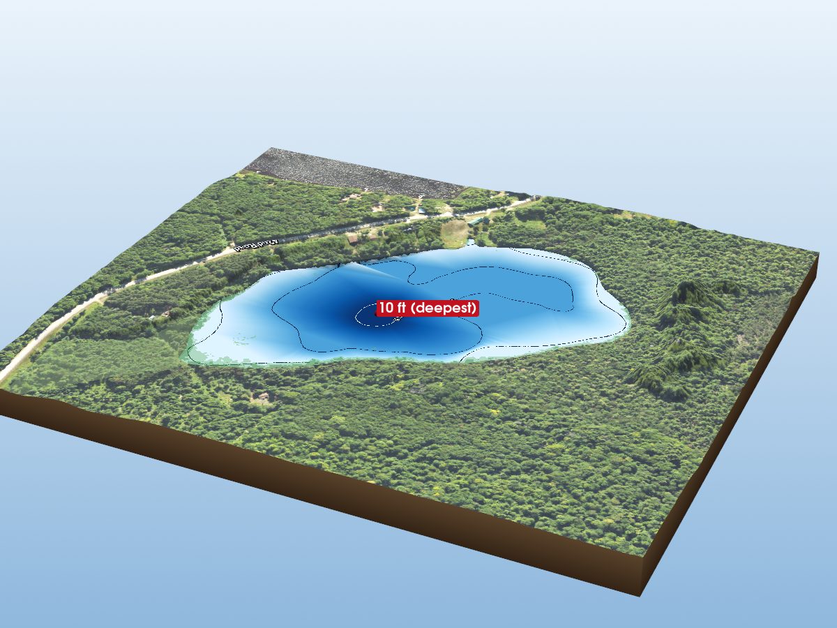 Depth map of Pine Lake