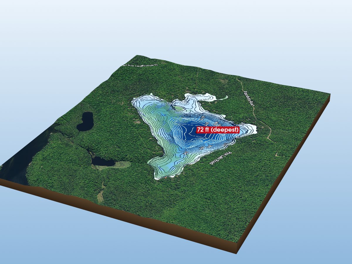 Depth map of Pine Lake