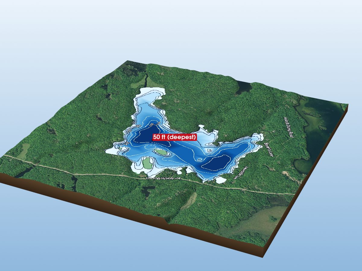 Depth map of Pine Lake
