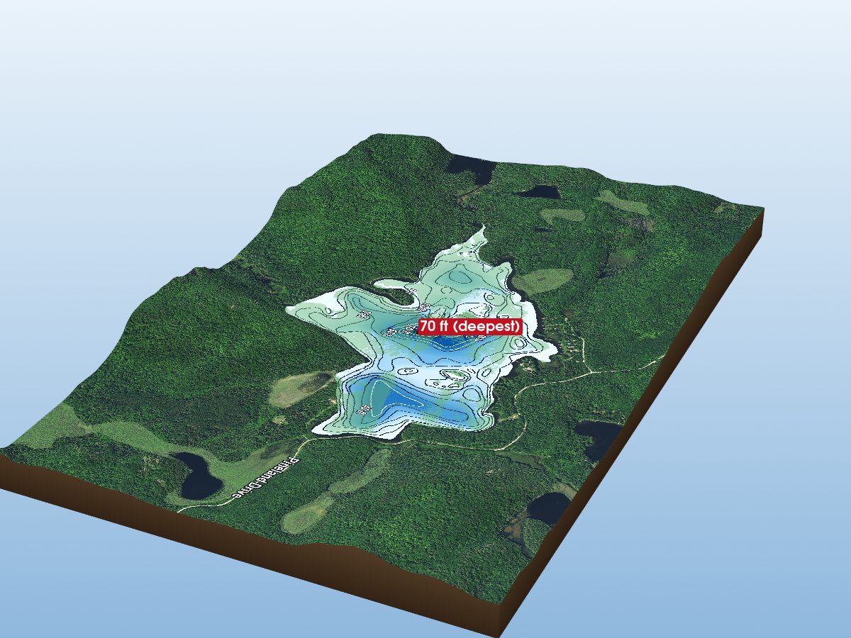 Depth map of Pine Lake