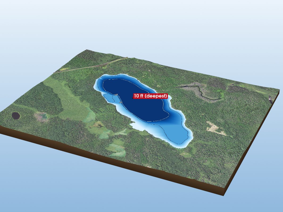 Depth map of Pine Lake