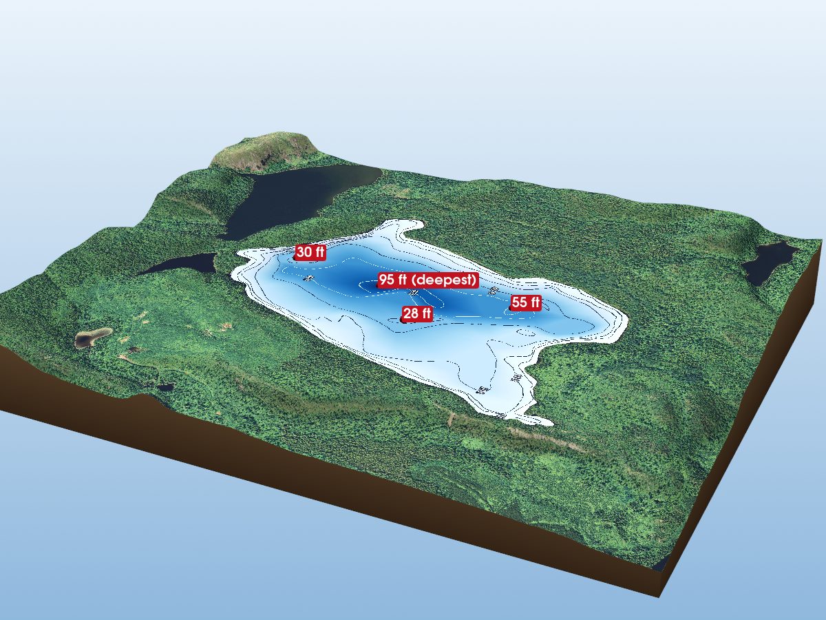 Depth map of Pringle Lake