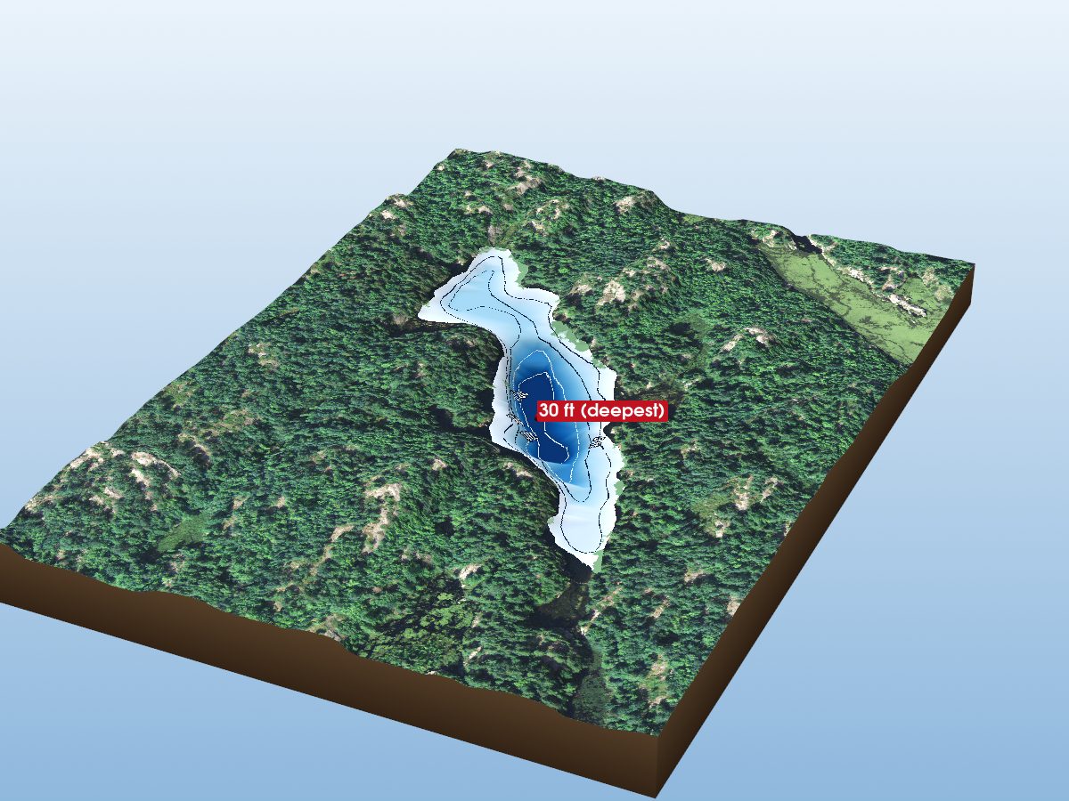 Depth map of Rasberry Lake