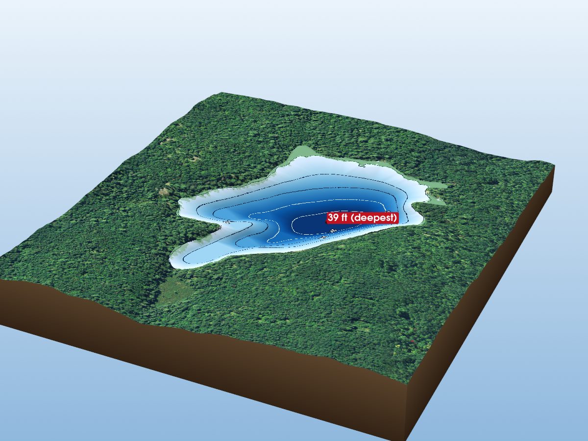 Depth map of Reed Lake
