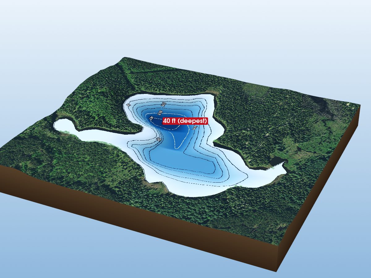 Depth map of Reeves Lake 4