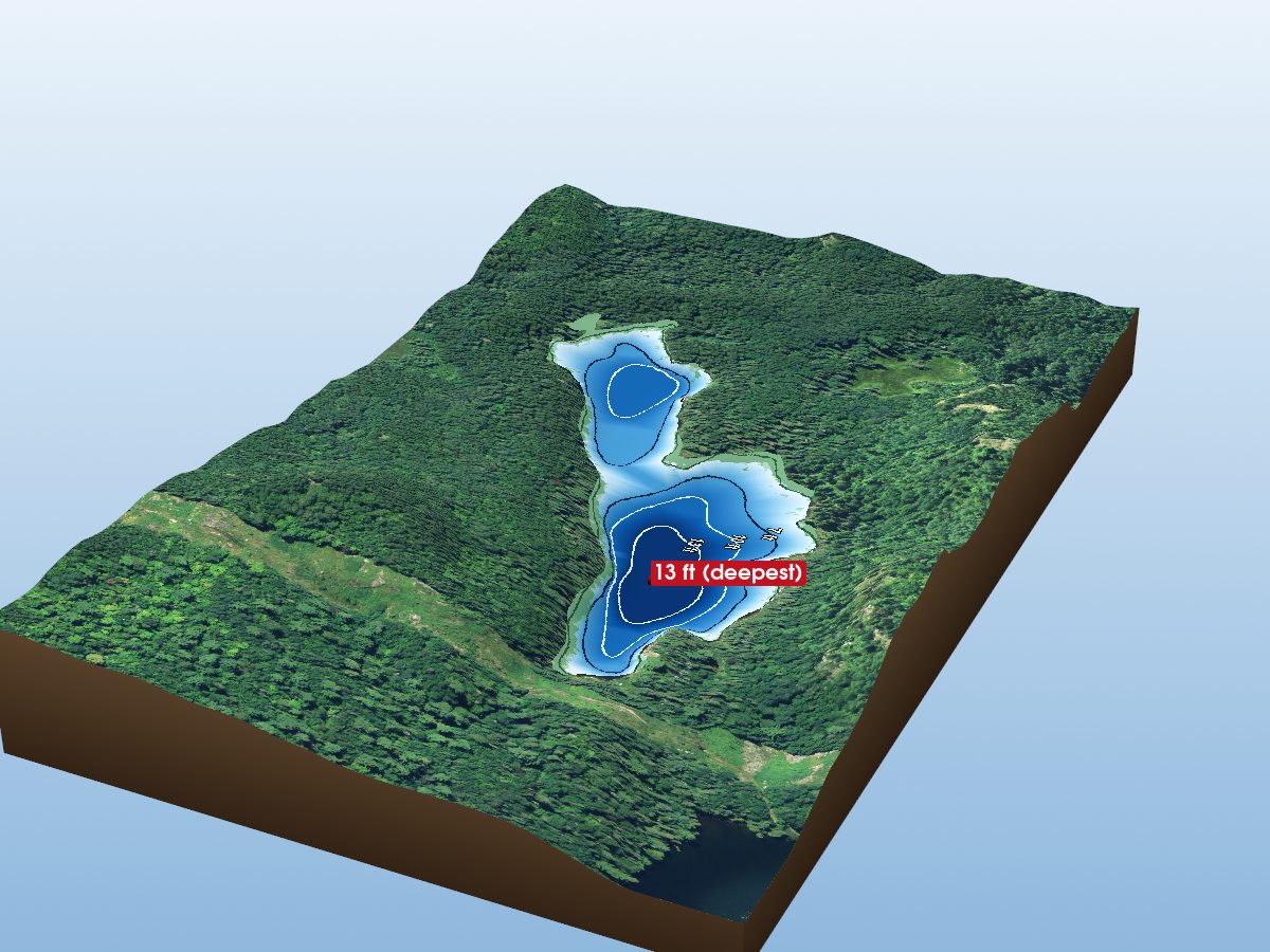 Depth map of Rioux Lake 29