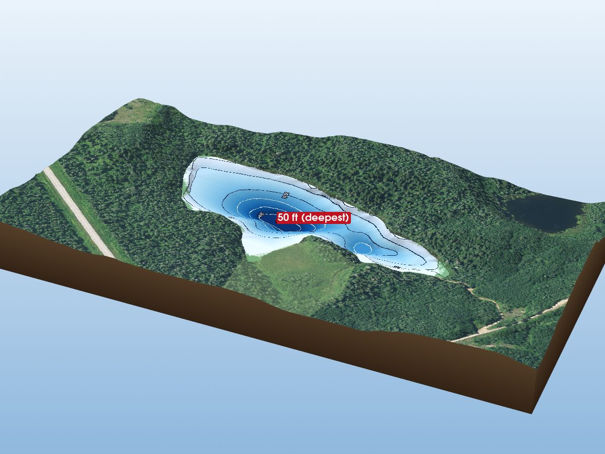 Depth map of Ronald Lake