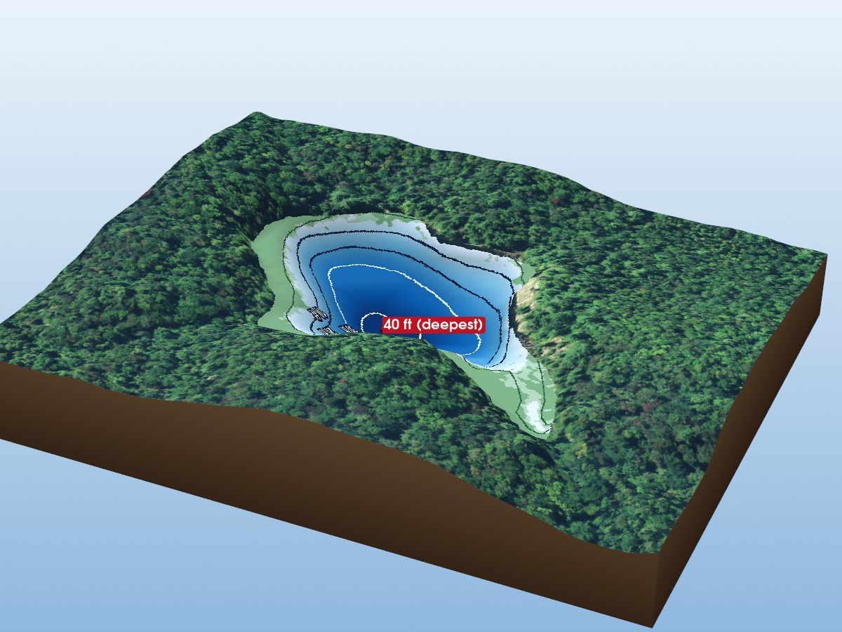 Depth map of Roy Berry Lake