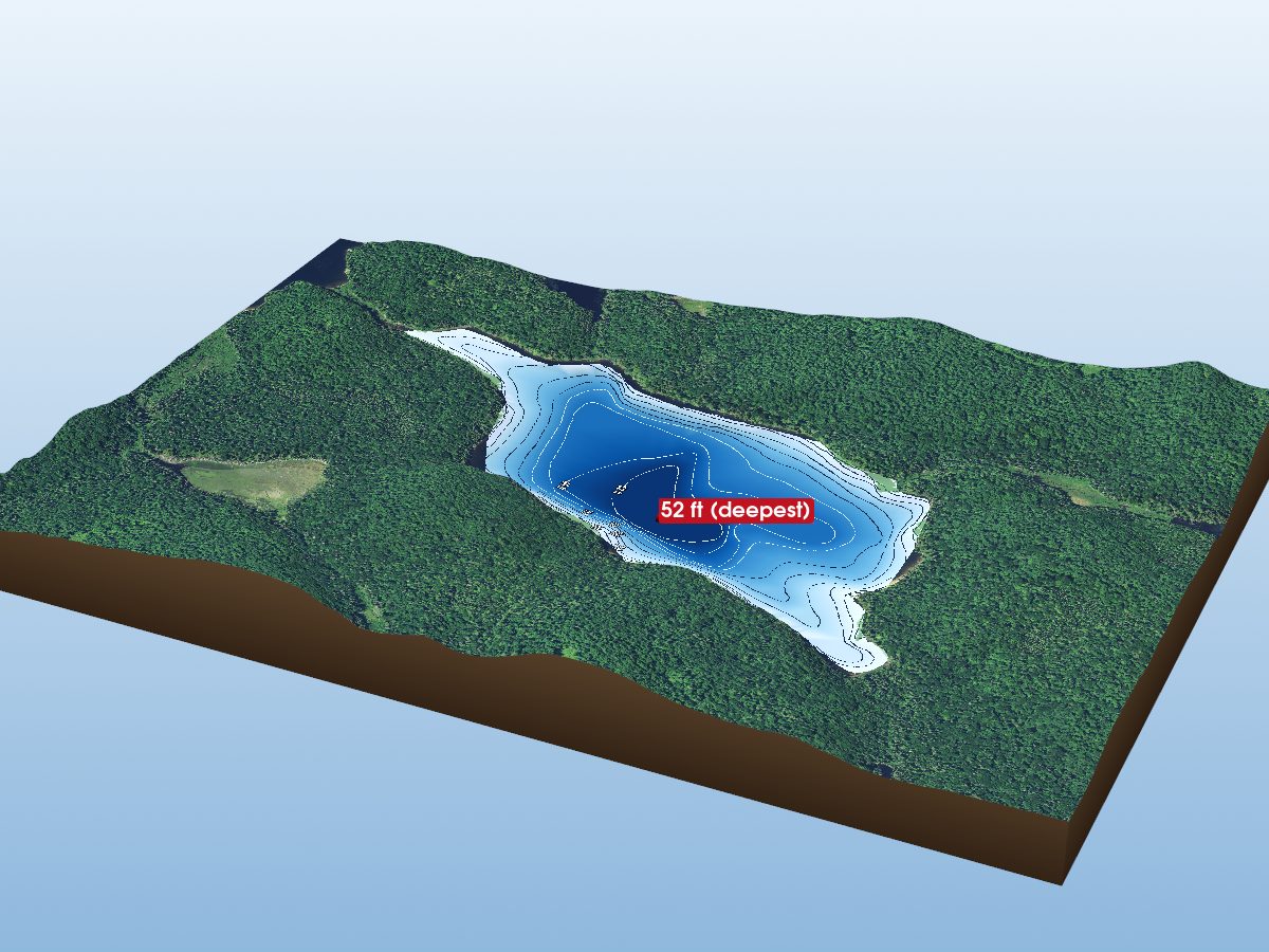 Depth map of Sawyer Lake