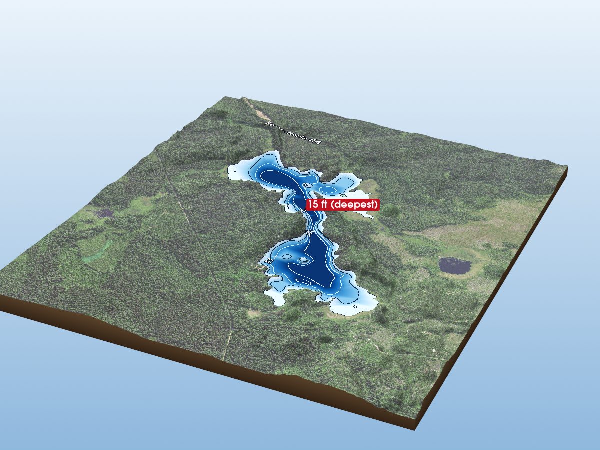 Depth map of Section 29 Lake