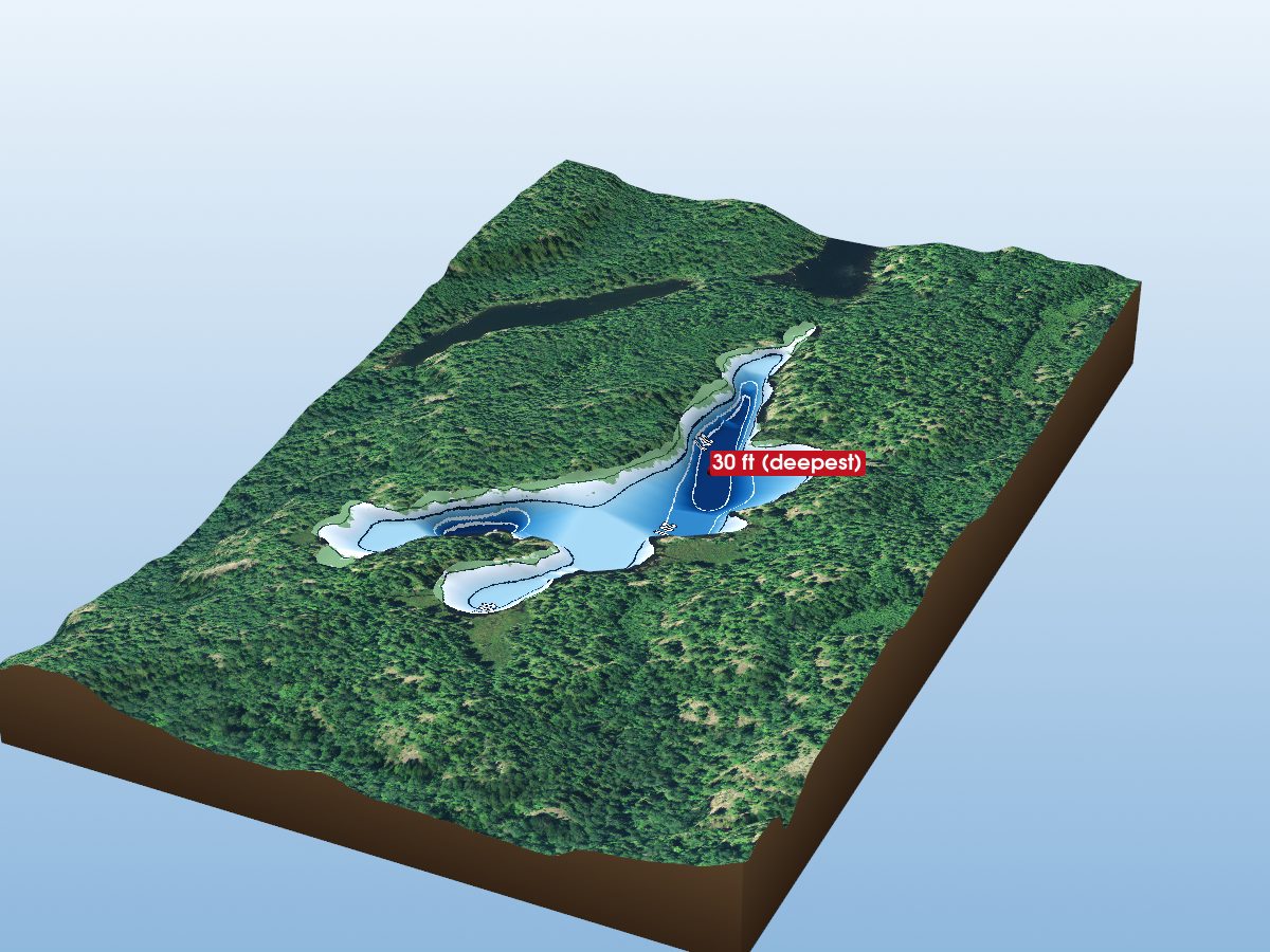 Depth map of Skating Logger Lake