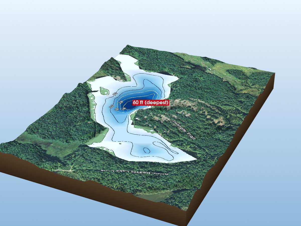 Depth map of South Beaver Lake
