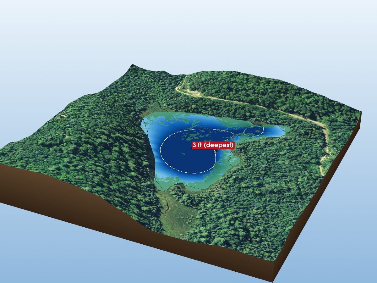 Depth map of Sturgeon Lake 37