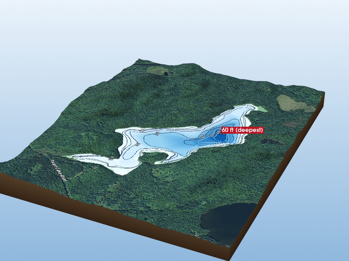 Depth map of Surprise Lake