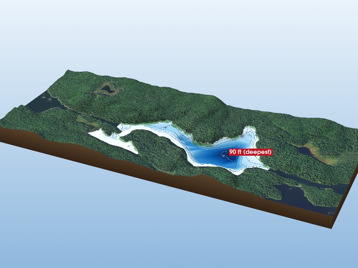 Depth map of Surveyor Lake