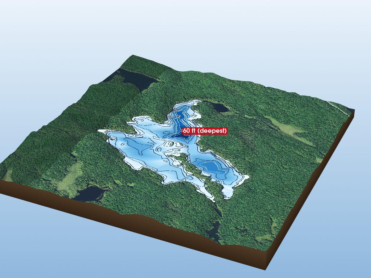 Depth map of Swan Lake