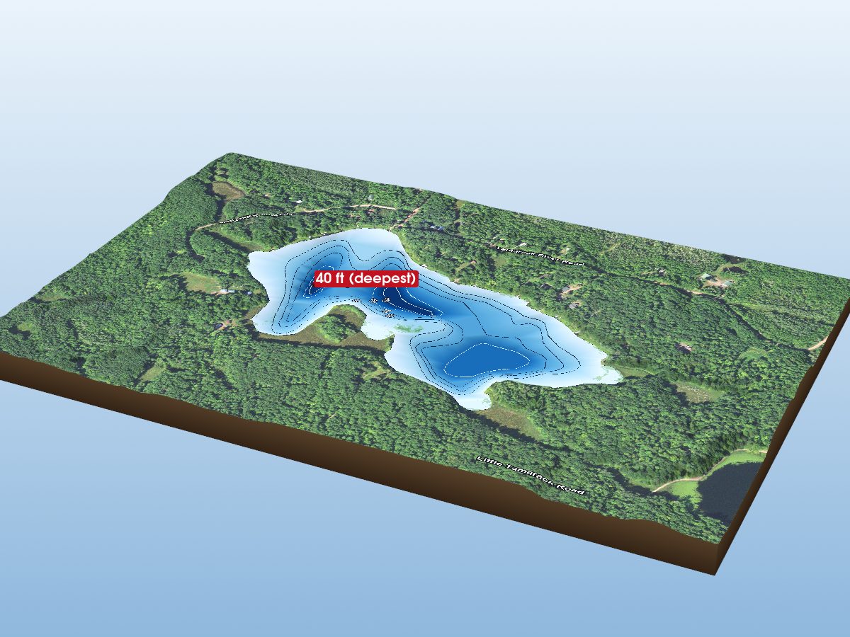 Depth map of Tamarack Lake