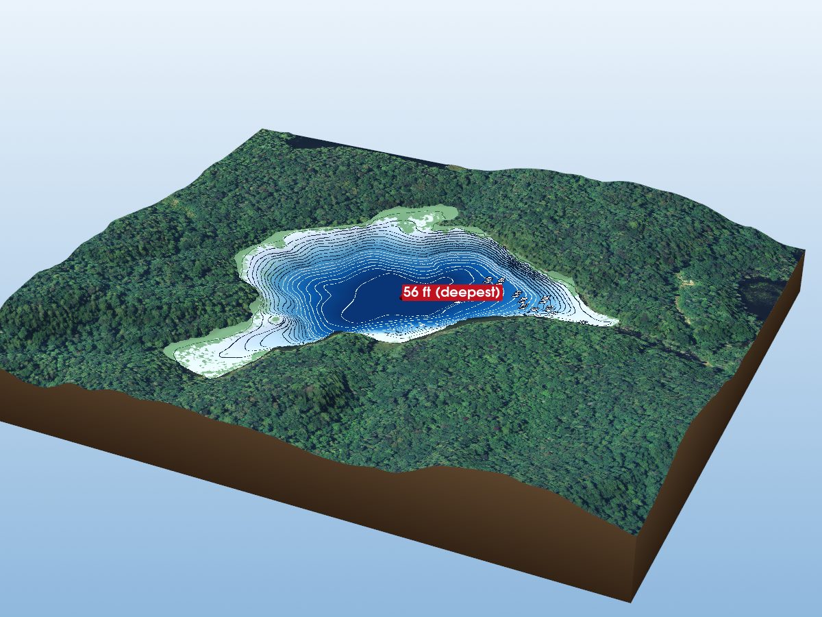 Depth map of Tarpaper Lake