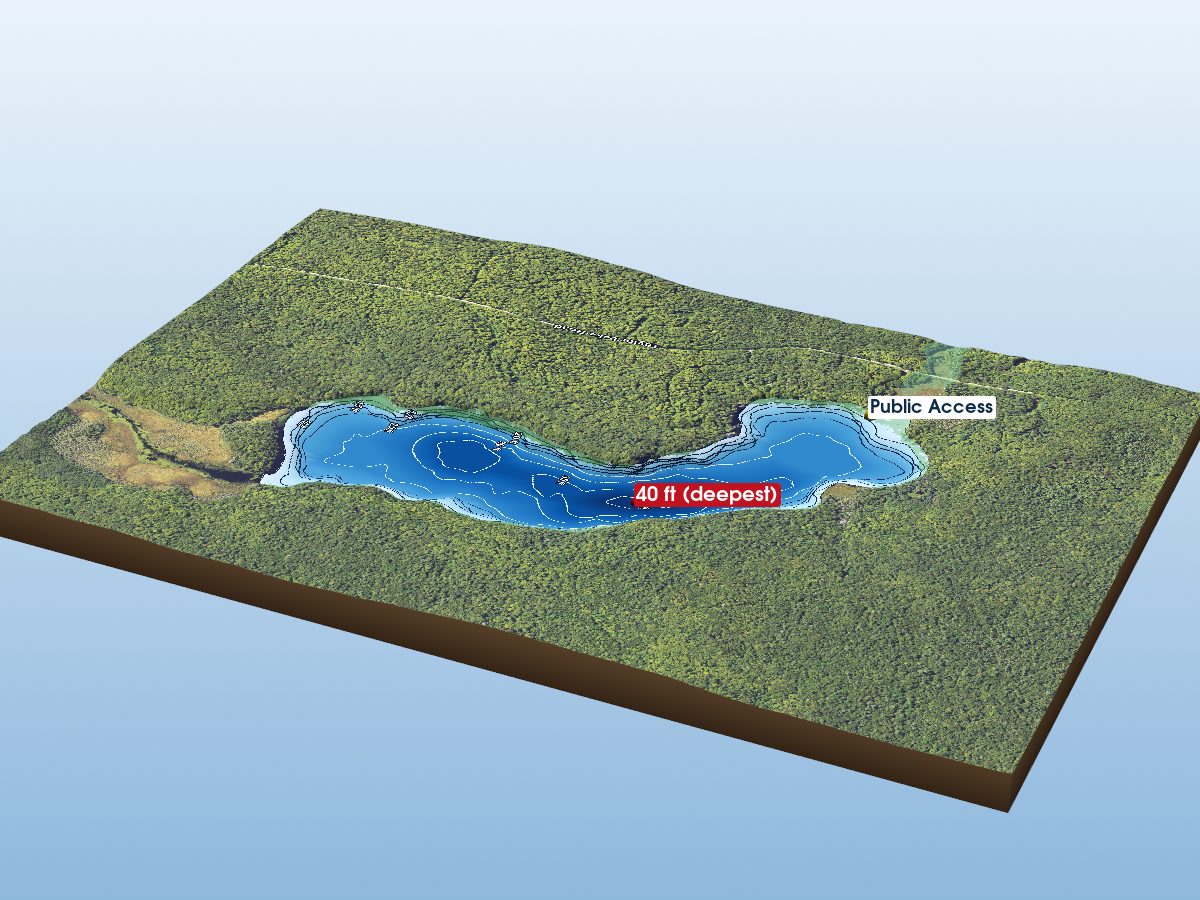 Depth map of Taylor Lake
