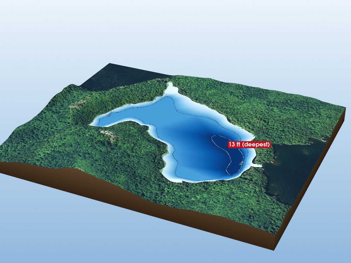 Depth map of Tees Lake