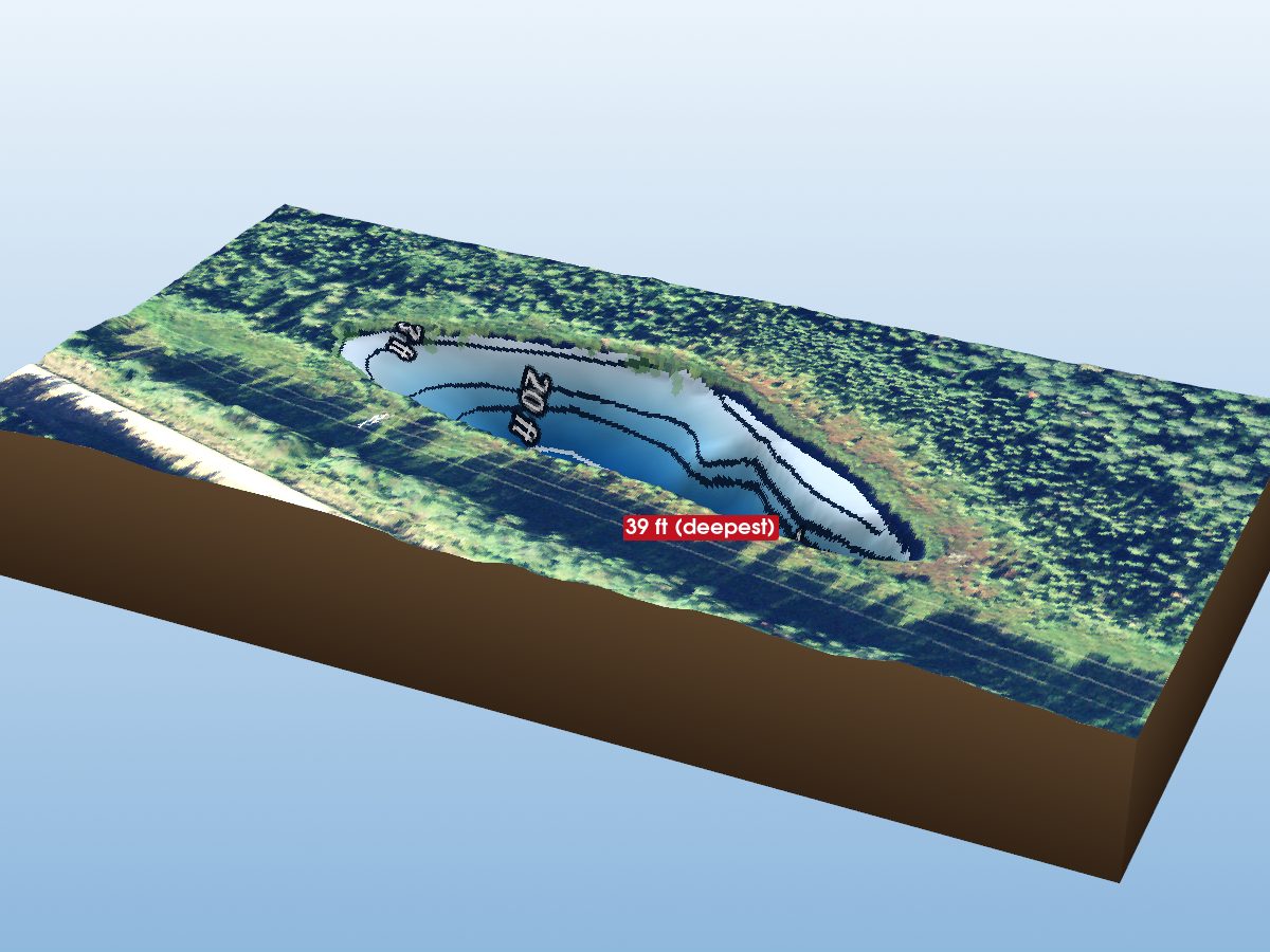 Depth map of Teetzel Lake 12