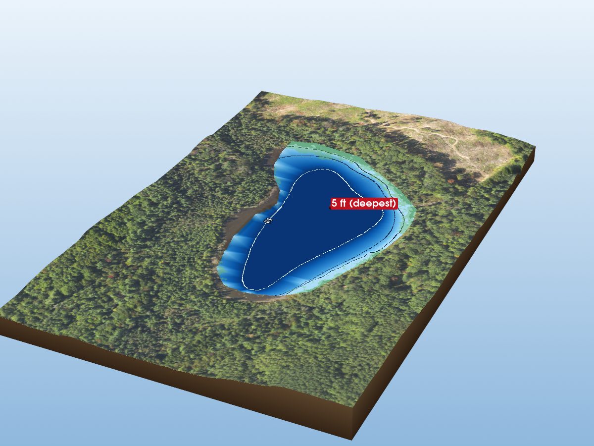 Depth map of Townline Lake