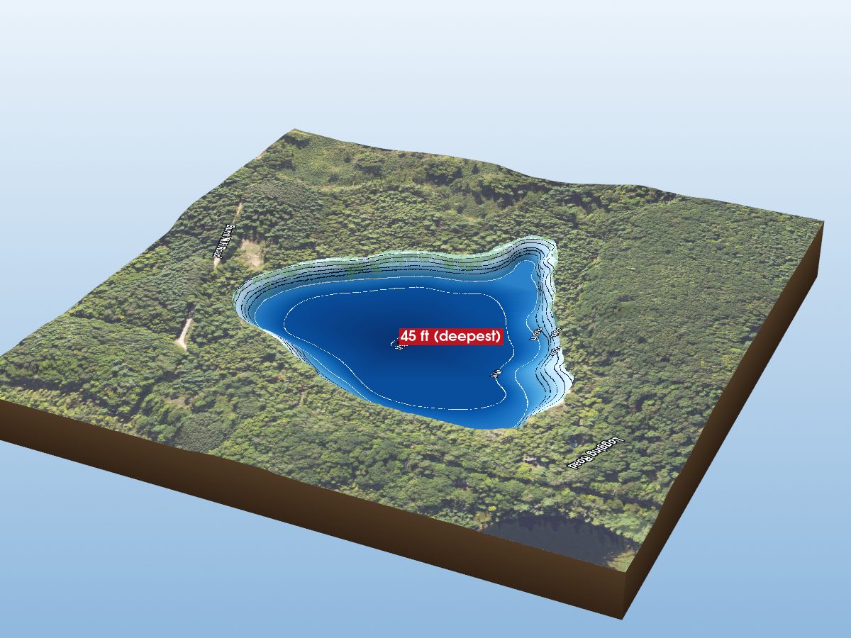 Depth map of Upper Woodcock Lake