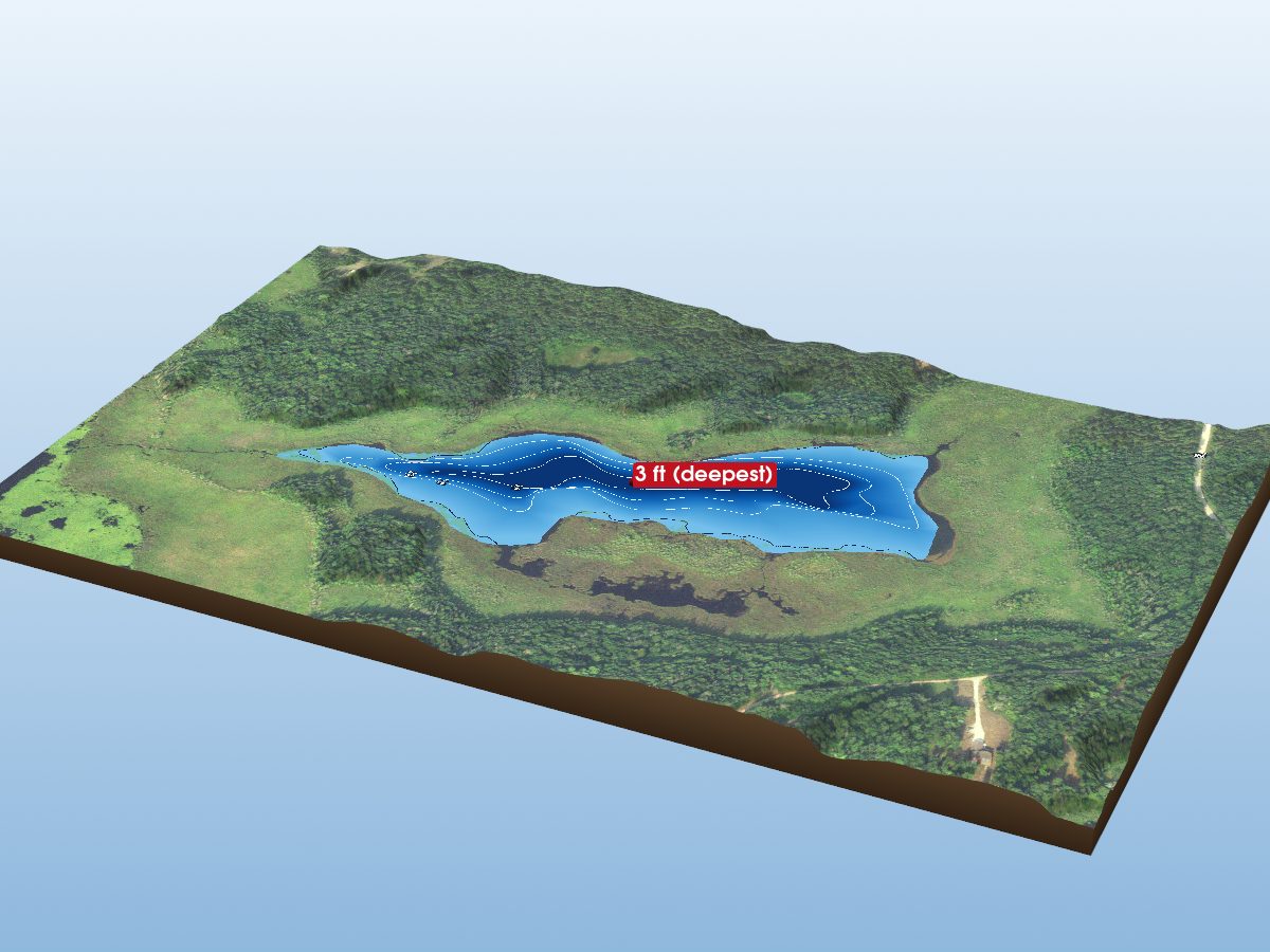 Depth map of Wadena Lake