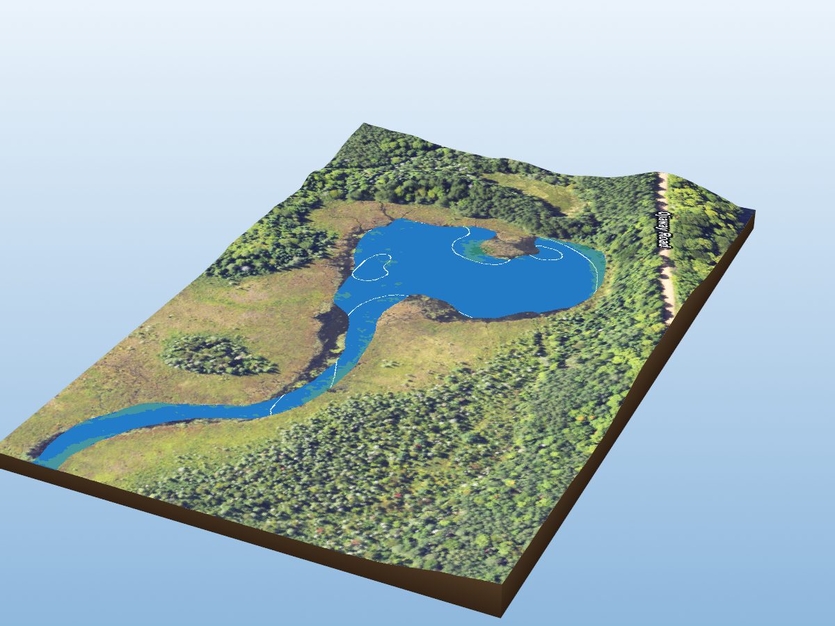 Depth map of Wellington Lake