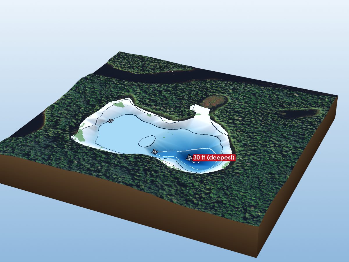 Depth map of Whalen Lake 39